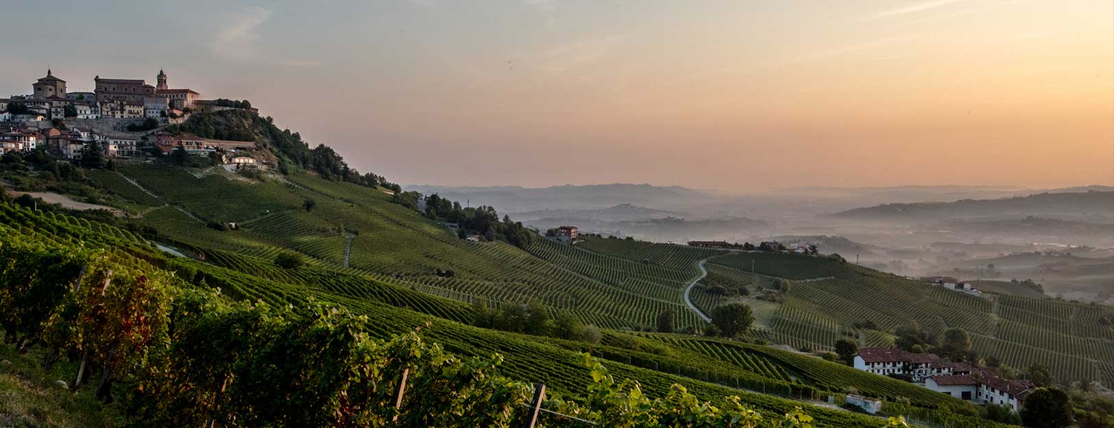 Postcard from Langhe